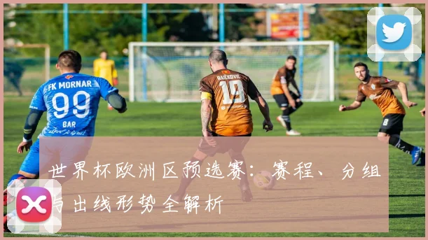 世界杯欧洲区预选赛：赛程、分组与出线形势全解析